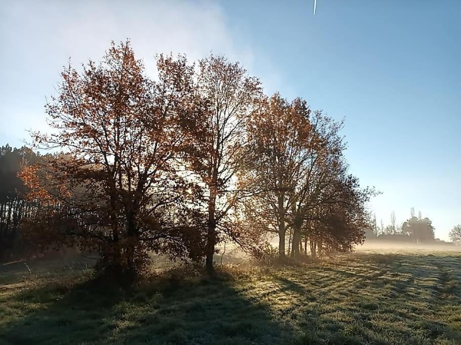 Gite Aux Bois D'En Temps Lunas  외부 사진