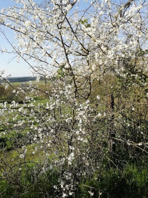 Gite Aux Bois D'En Temps Lunas  외부 사진